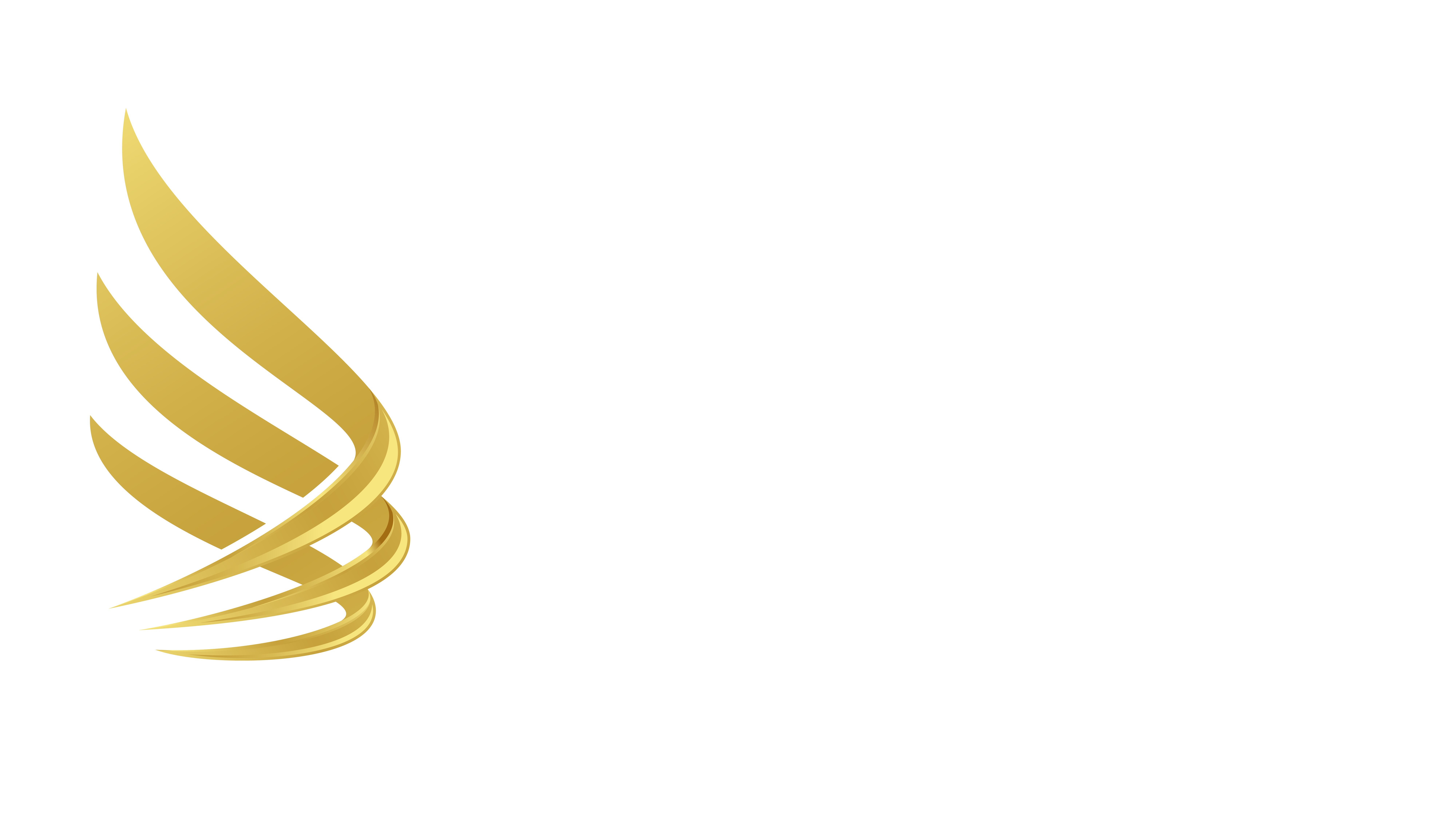 logo Wings Store